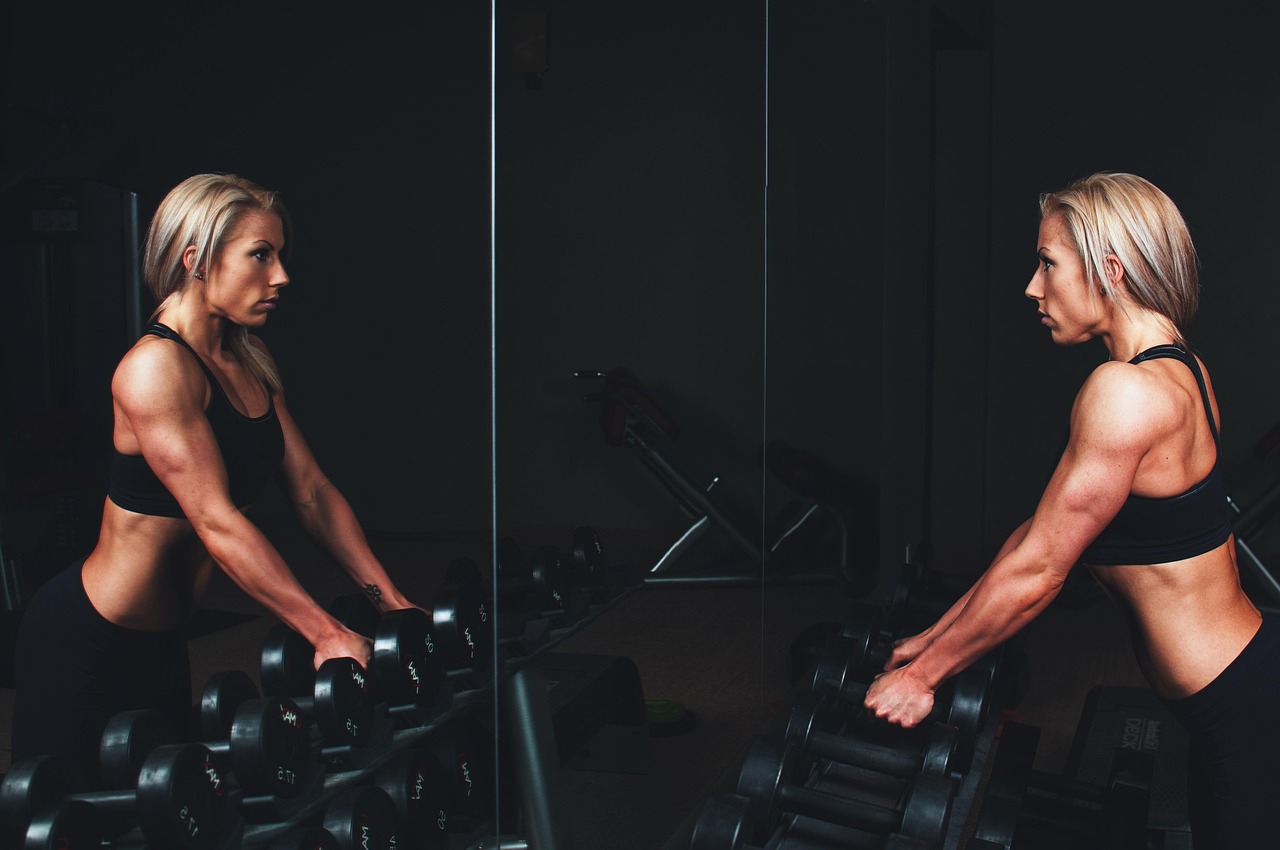 Toucangym Fitness Club collection